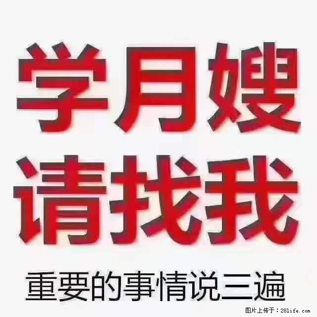 为什么要学习月嫂,育婴师? - 其他广告 - 广告专区 - 张家界分类信息 - 张家界28生活网 zjj.28life.com