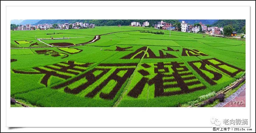 【春天，广西桂林灌阳县向您发出邀请！】开篇 - 游山玩水 - 张家界生活社区 - 张家界28生活网 zjj.28life.com