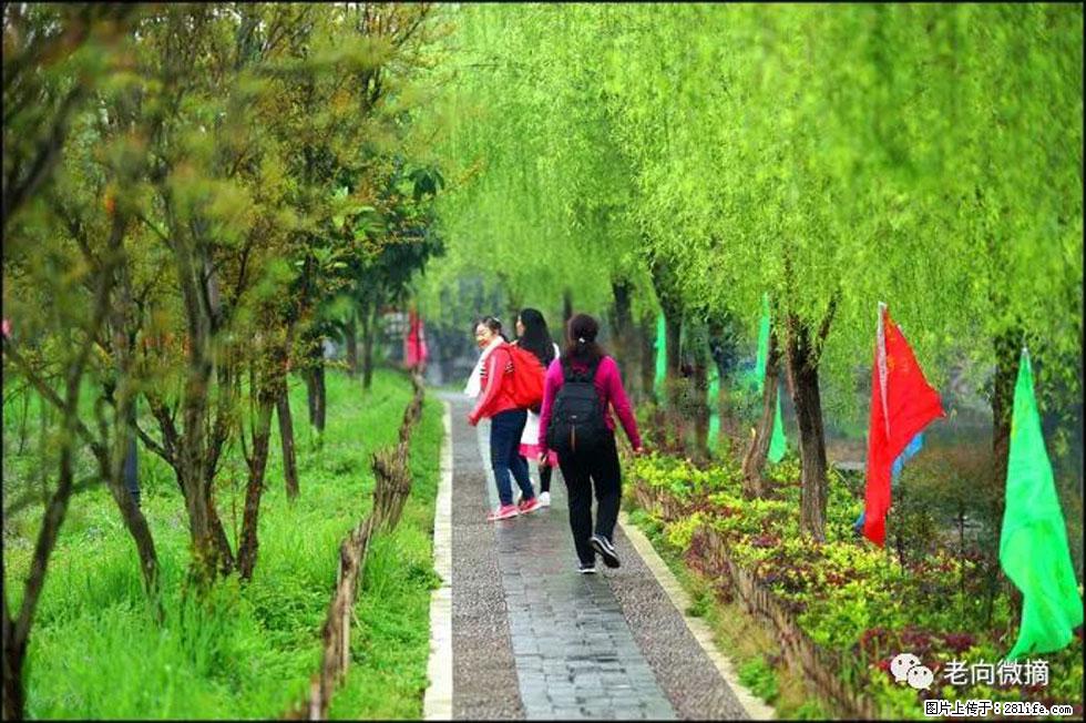 【春天,广西桂林灌阳县向您发出邀请!】江口老街又逢春 - 游山玩水 - 张家界生活社区 - 张家界28生活网 zjj.28life.com