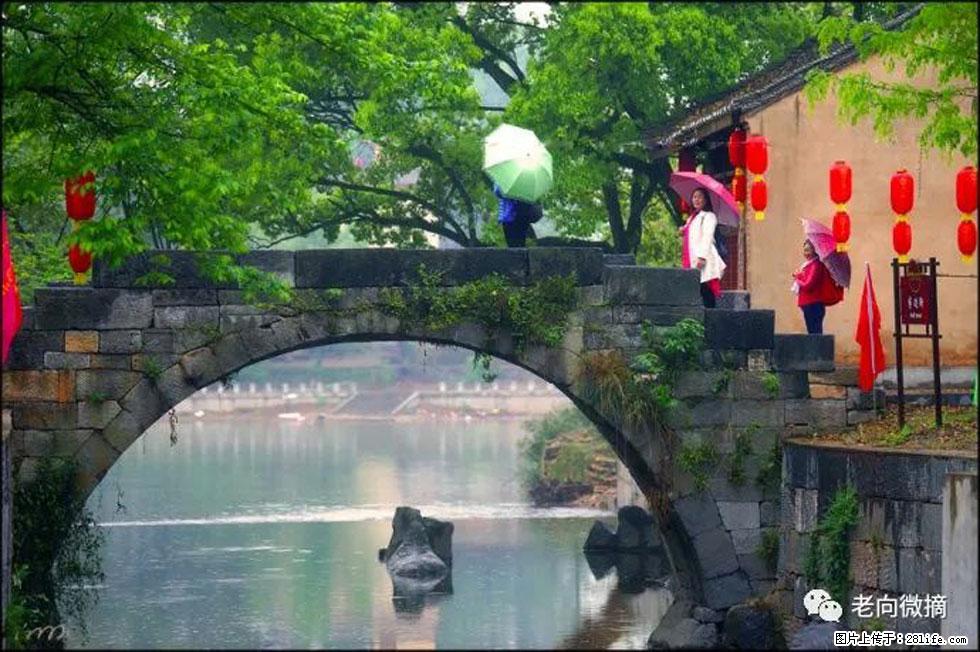 【春天,广西桂林灌阳县向您发出邀请!】江口老街又逢春 - 游山玩水 - 张家界生活社区 - 张家界28生活网 zjj.28life.com