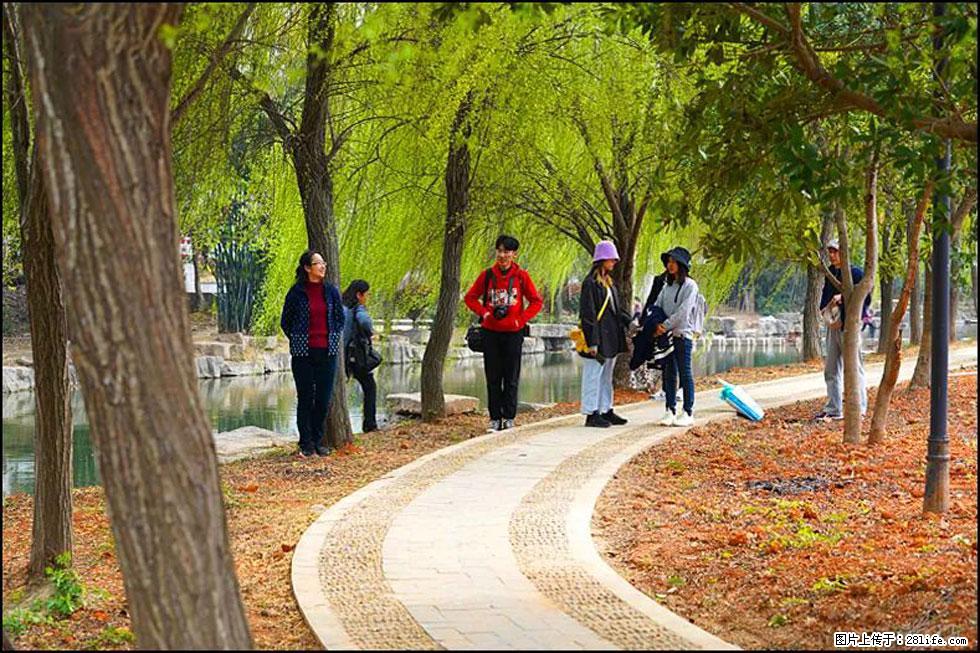 【春天,广西桂林灌阳县向您发出邀请!】江口老街又逢春 - 游山玩水 - 张家界生活社区 - 张家界28生活网 zjj.28life.com
