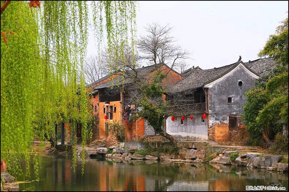 【春天,广西桂林灌阳县向您发出邀请!】江口老街又逢春 - 游山玩水 - 张家界生活社区 - 张家界28生活网 zjj.28life.com