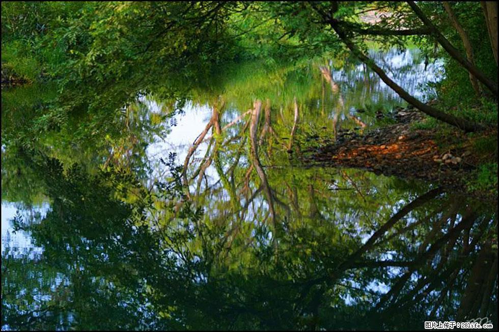 【春天,广西桂林灌阳县向您发出邀请!】熊家寨湿地公园 - 游山玩水 - 张家界生活社区 - 张家界28生活网 zjj.28life.com