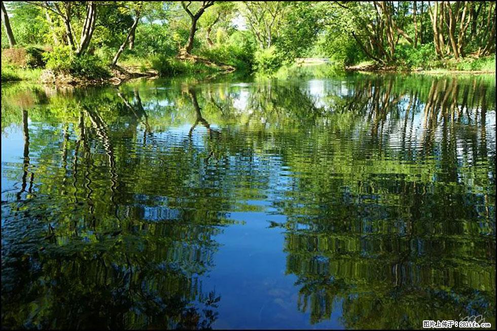 【春天,广西桂林灌阳县向您发出邀请!】熊家寨湿地公园 - 游山玩水 - 张家界生活社区 - 张家界28生活网 zjj.28life.com