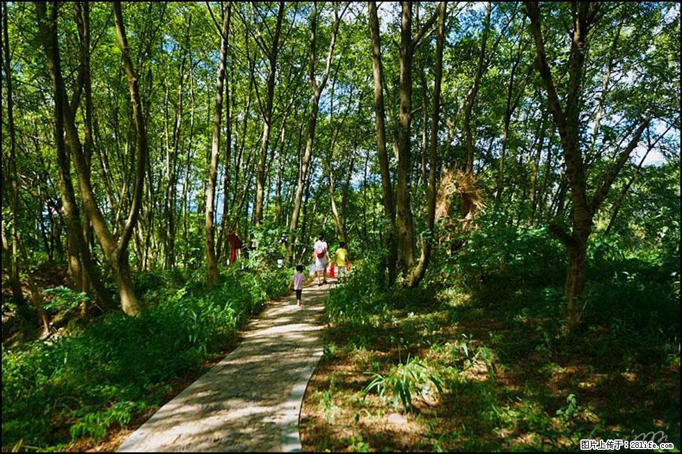 【春天,广西桂林灌阳县向您发出邀请!】熊家寨湿地公园 - 游山玩水 - 张家界生活社区 - 张家界28生活网 zjj.28life.com