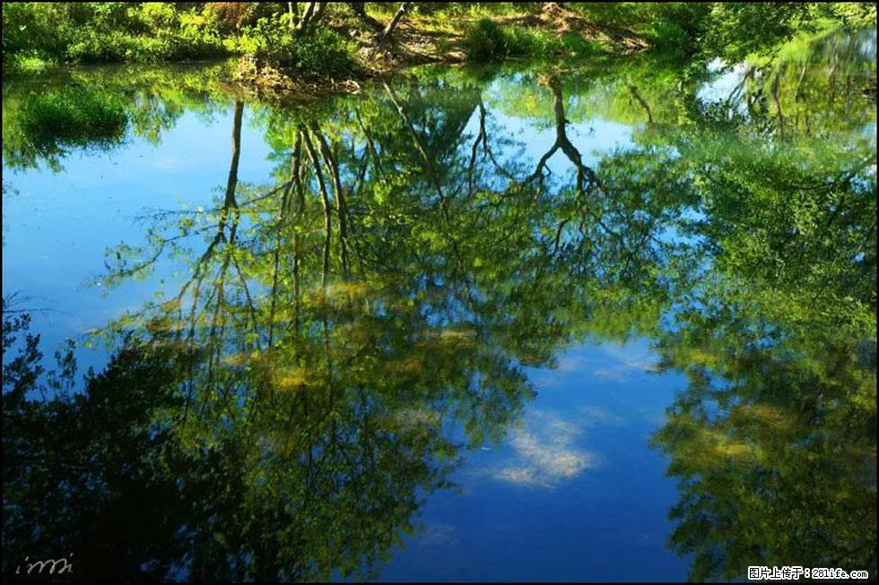 【春天,广西桂林灌阳县向您发出邀请!】熊家寨湿地公园 - 游山玩水 - 张家界生活社区 - 张家界28生活网 zjj.28life.com