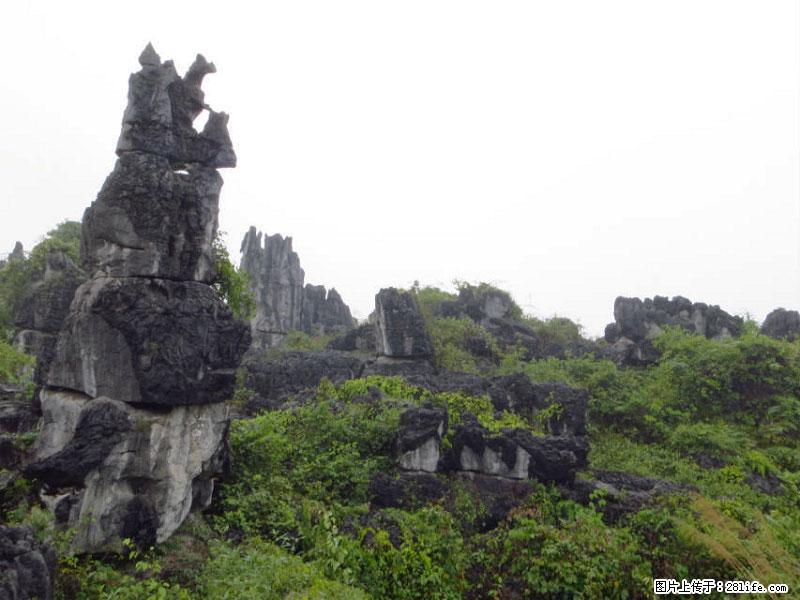 桂林旅游名城景点:灌阳文市石林 - 游山玩水 - 张家界生活社区 - 张家界28生活网 zjj.28life.com