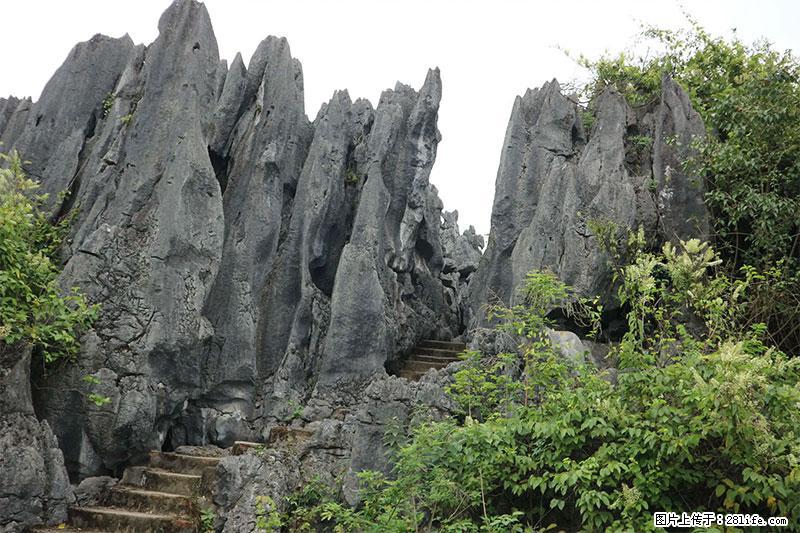 桂林旅游名城景点：灌阳文市石林 - 游山玩水 - 张家界生活社区 - 张家界28生活网 zjj.28life.com