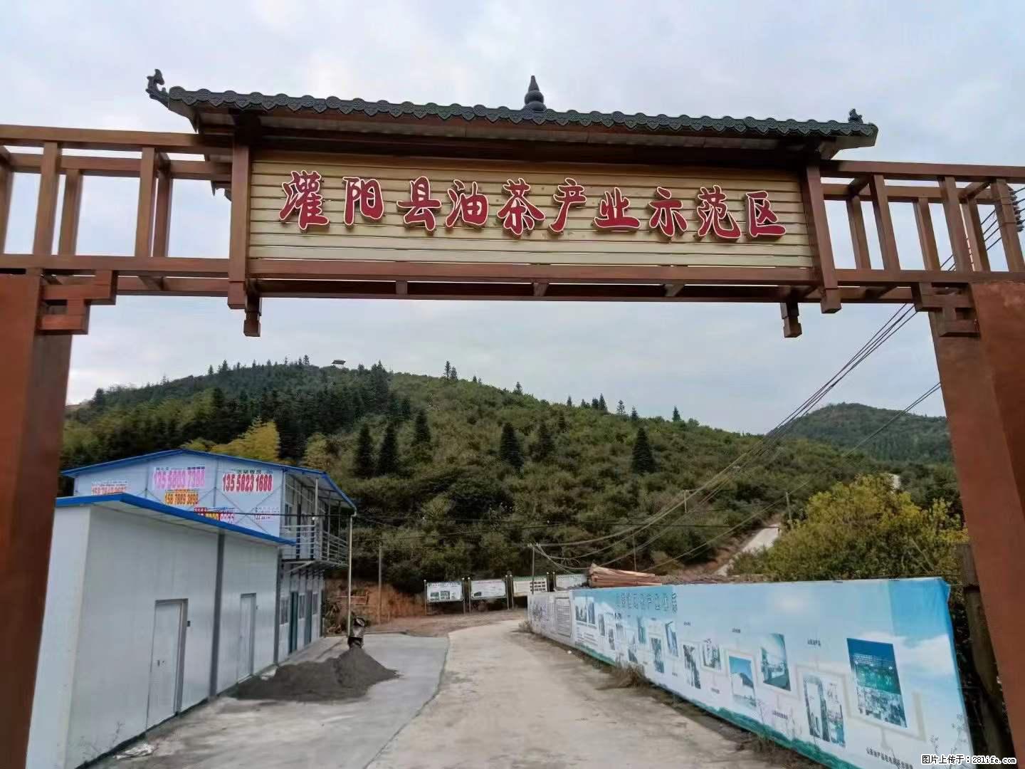 【灌阳县油茶产业示范区】一个有着充实的精神生活的人,对待身外之物自会有一种淡泊的态度 - 美食天地 - 张家界生活社区 - 张家界28生活网 zjj.28life.com