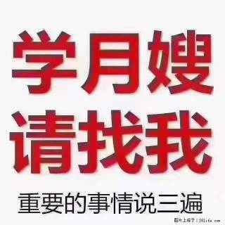 为什么要学习月嫂,育婴师? - 张家界28生活网 zjj.28life.com