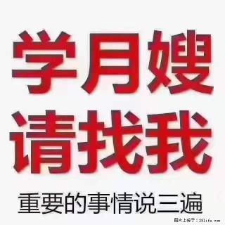 为什么要学习月嫂，育婴师？ - 张家界28生活网 zjj.28life.com