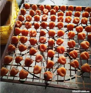 广西桂林平乐桥亭【柿饼之乡】2025年纯手工制作、无任何添加剂的第一批柿饼准备上市了，欢迎联系订购！ - 张家界28生活网 zjj.28life.com