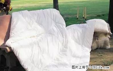 被子有异味?只要这样做,比晒太阳还强100倍! - 家居生活 - 张家界生活社区 - 张家界28生活网 zjj.28life.com