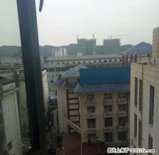 急租中商广场1室1厅精装修可以办公可以居家 - 张家界28生活网 zjj.28life.com