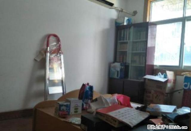 三角坪,交通方便,配套齐全,拎包入住 - 房屋出租 - 房屋租售 - 张家界分类信息 - 张家界28生活网 zjj.28life.com