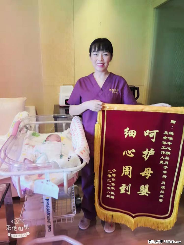 上海高端月子会所招新手月嫂,零基础带教,包吃住 - 职场交流 - 张家界生活社区 - 张家界28生活网 zjj.28life.com
