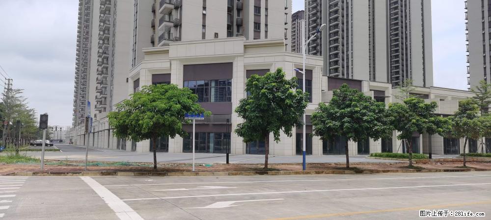 【广西三象建筑安装工程有限公司】绿地东盟大学城 grc构件 4个地块,施工周期两年 - 新手上路 - 张家界生活社区 - 张家界28生活网 zjj.28life.com