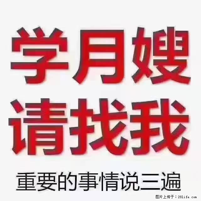 【招聘】月嫂,上海徐汇区 - 职场交流 - 张家界生活社区 - 张家界28生活网 zjj.28life.com