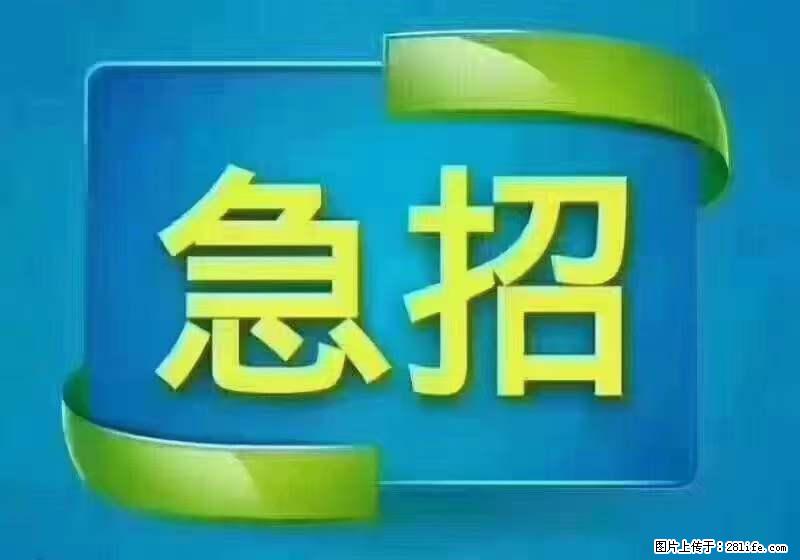 招出纳8000元/月，无证可以，要有相关经验，上海五险一金，包住，包工作餐，做六休一。 - 职场交流 - 张家界生活社区 - 张家界28生活网 zjj.28life.com