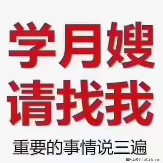 【招聘】月嫂,上海徐汇区 - 张家界28生活网 zjj.28life.com