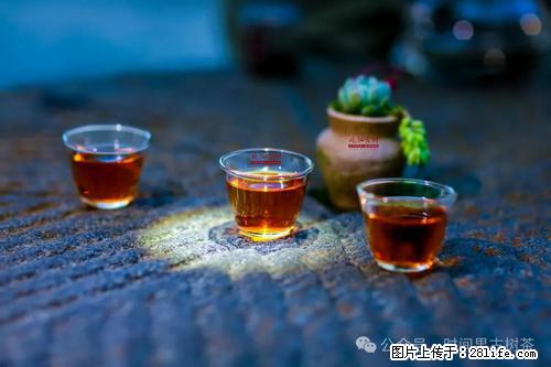 时间果百年古树2025年春红茶 - 购物交流 - 张家界生活社区 - 张家界28生活网 zjj.28life.com