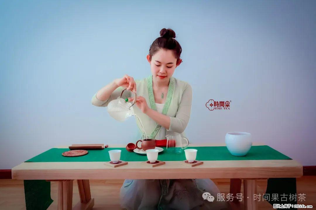 时间果百年古树龙珠普洱生茶 - 购物交流 - 张家界生活社区 - 张家界28生活网 zjj.28life.com