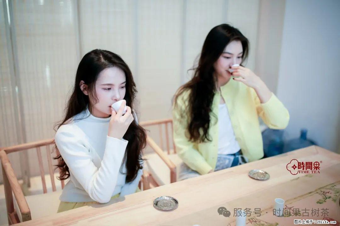 时间果百年古树龙珠普洱生茶 - 购物交流 - 张家界生活社区 - 张家界28生活网 zjj.28life.com