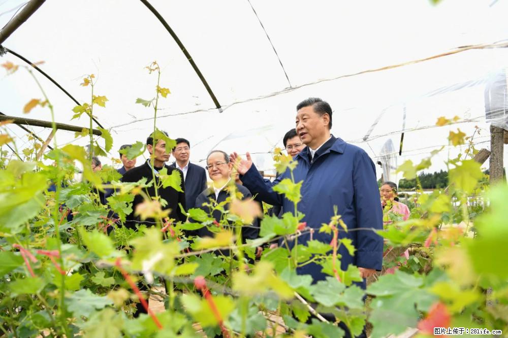 习近平赴广西考察调研 - 张家界生活资讯 - 张家界28生活网 zjj.28life.com