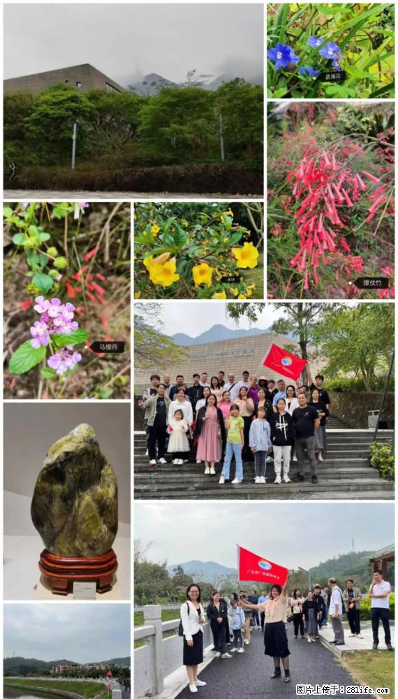 “粤灌文化 美好生活”油茶文化主题活动在广东深圳成功举办 - 张家界生活资讯 - 张家界28生活网 zjj.28life.com