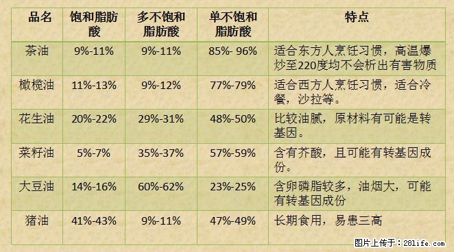 揭秘茶油的5大核心营养成分!被称为人体健康的“守护盾”! - 张家界生活资讯 - 张家界28生活网 zjj.28life.com
