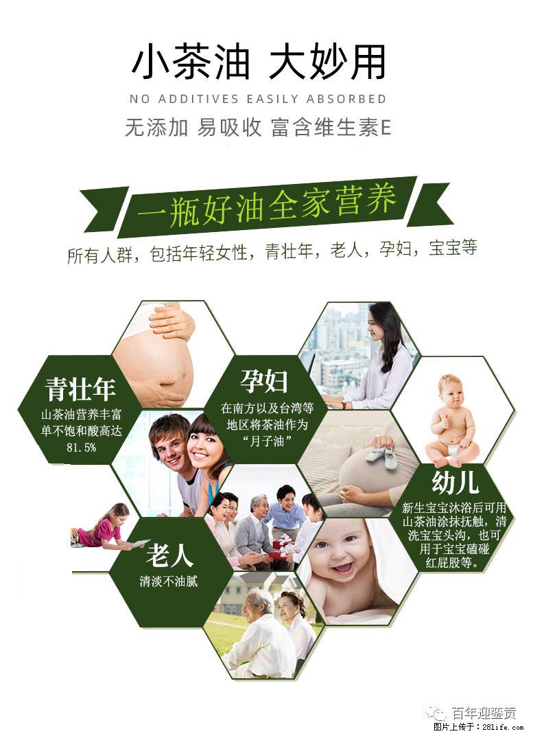 世界没有真相,只有认知,最好的食用油是中国的山茶油! - 张家界生活资讯 - 张家界28生活网 zjj.28life.com