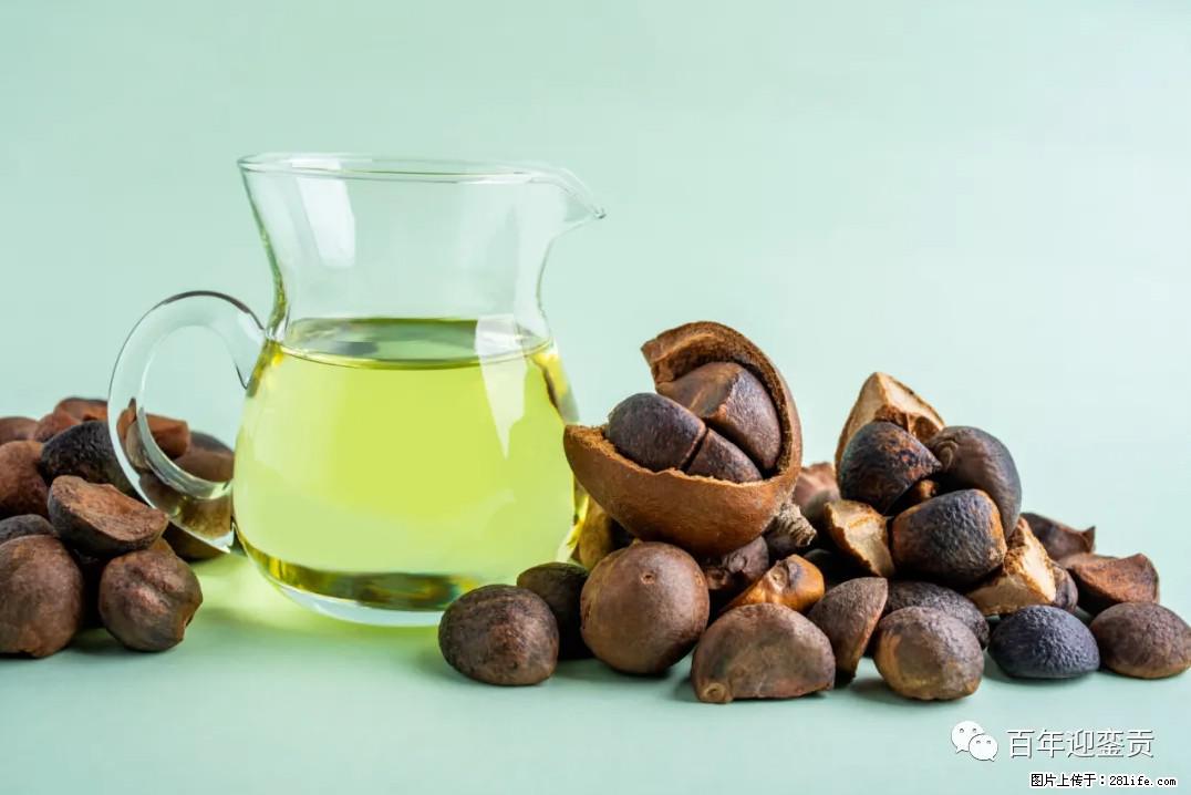 世界没有真相，只有认知，最好的食用油是中国的山茶油！ - 张家界生活资讯 - 张家界28生活网 zjj.28life.com