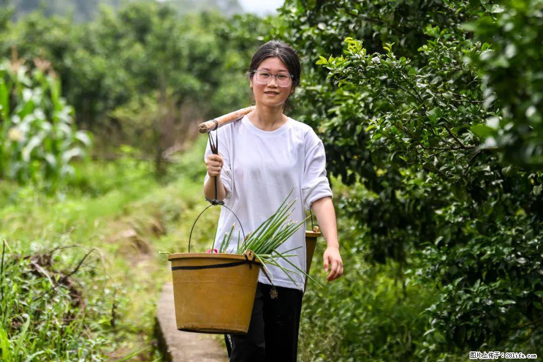 全网追的“扁担女孩”,找了一份暑假工,时薪12元 - 张家界生活资讯 - 张家界28生活网 zjj.28life.com