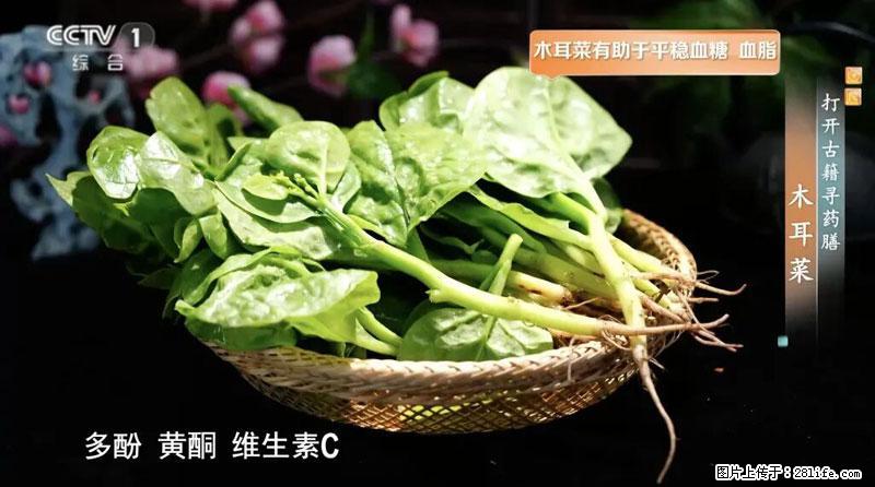 比牛奶补钙还厉害!凉血解毒、稳血糖...这菜冬天必吃,很多人却当草 - 张家界生活资讯 - 张家界28生活网 zjj.28life.com
