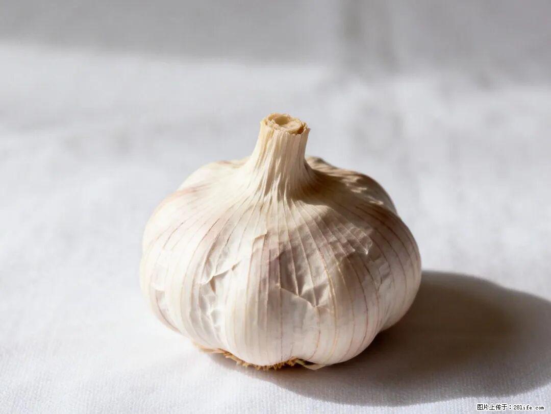 关于大蒜，除了“天然抗生素”，这4个谣言更该警惕! - 张家界生活资讯 - 张家界28生活网 zjj.28life.com