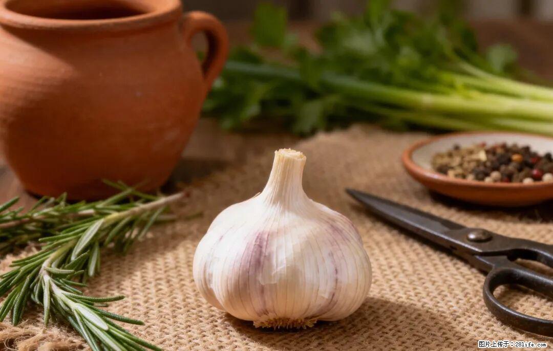 关于大蒜，除了“天然抗生素”，这4个谣言更该警惕! - 张家界生活资讯 - 张家界28生活网 zjj.28life.com