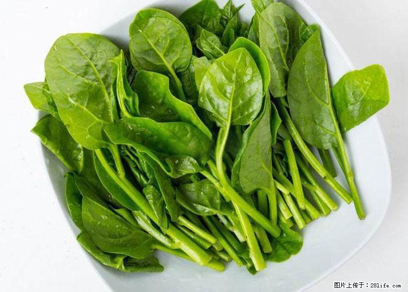 这些蔬菜是“天然钙片”，这6种被医生重点推荐 - 张家界生活资讯 - 张家界28生活网 zjj.28life.com