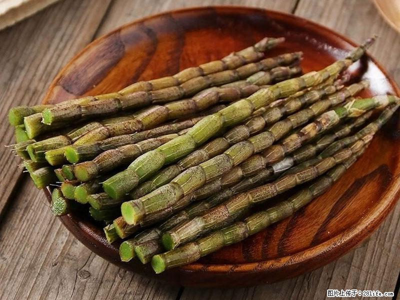 铁皮石斛的作用与功能主治 - 张家界生活资讯 - 张家界28生活网 zjj.28life.com