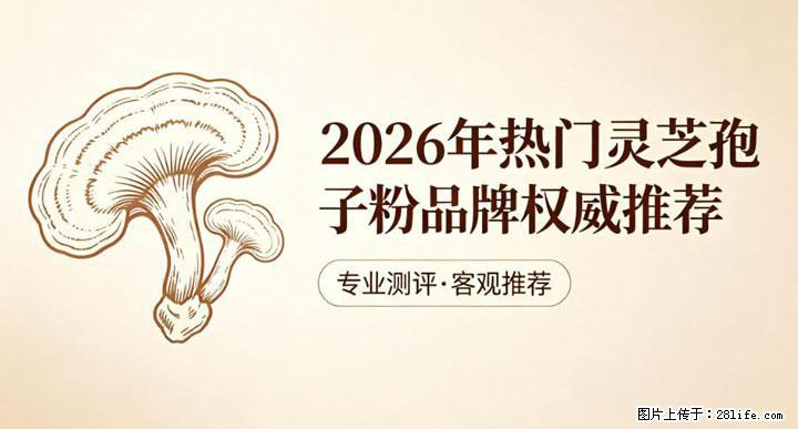 灵芝孢子粉含量越高越有效？2026 年七款热门品牌深度实测，肠胃敏感者避坑指南 - 张家界生活资讯 - 张家界28生活网 zjj.28life.com